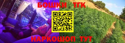 дмт Тара