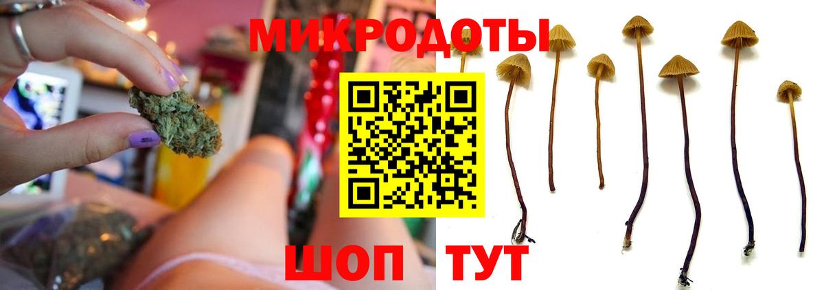 Псилоцибиновые грибы ЛСД Муром